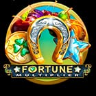Fortune Multiplier game icon